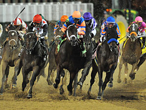 Trainers of Classic Horses Report No Problems Trainers of Classic Horses Report No Problems