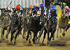 Trainers of Classic Horses Report No Problems Trainers of Classic Horses Report No Problems