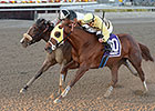 Classic Point Ekes Out Go for Wand Victory Classic Point Ekes Out Go for Wand Victory