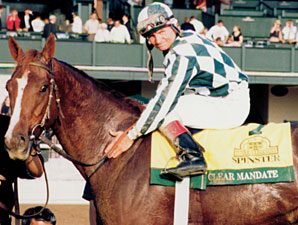 Stakes Producer Clear Mandate Dies Stakes Producer Clear Mandate Dies