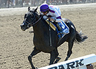 Belmont Sprint Track Record for Clearly Now Belmont Sprint Track Record for Clearly Now