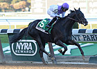 Blinkers Help Clearly Now to Bold Ruler Win Blinkers Help Clearly Now to Bold Ruler Win