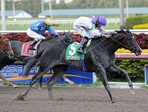 Clearly Now Shortens Up for Swale Triumph