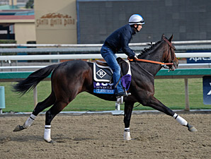 Cleburne Out of Juvenile With Bucked Shin Cleburne Out of Juvenile With Bucked Shin