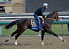 Cleburne Out of Juvenile With Bucked Shin Cleburne Out of Juvenile With Bucked Shin