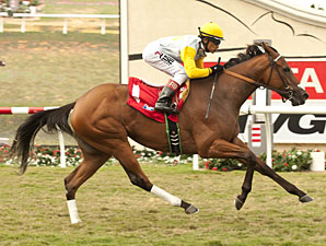 Rovenna, Clenor Top Senorita Stakes Rovenna, Clenor Top Senorita Stakes