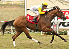 Rovenna, Clenor Top Senorita Stakes Rovenna, Clenor Top Senorita Stakes
