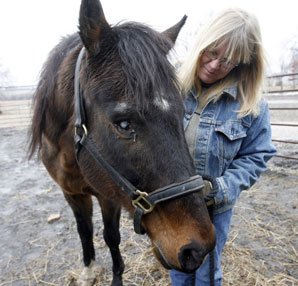 Rescued Clever Allemont to Old Friends Rescued Clever Allemont to Old Friends