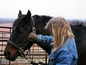 Clever Allemont En Route to Old Friends Clever Allemont En Route to Old Friends