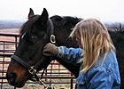 Clever Allemont En Route to Old Friends Clever Allemont En Route to Old Friends