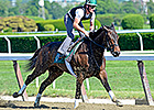 Close Hatches Bids for Perfection at Saratoga Close Hatches Bids for Perfection at Saratoga