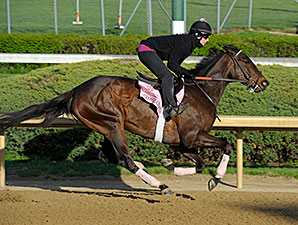 Oaks-Bound Close Hatches Breezes at Churchill Oaks-Bound Close Hatches Breezes at Churchill