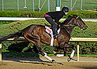 Oaks-Bound Close Hatches Breezes at Churchill