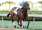 Close Hatches Secures Apple Blossom Victory Close Hatches Secures Apple Blossom Victory