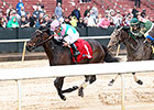 Featured Horse Profile: Close Hatches Featured Horse Profile: Close Hatches