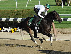 Mott Pleased With Royal Delta, Close Hatches Mott Pleased With Royal Delta, Close Hatches