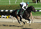 Mott Pleased With Royal Delta, Close Hatches Mott Pleased With Royal Delta, Close Hatches