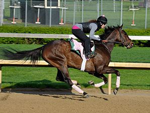 Eye-Catching Move for Filly Close Hatches Eye-Catching Move for Filly Close Hatches