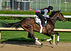 Unlocking Winners: Oaks Day! Unlocking Winners: Oaks Day!