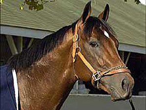 Closing Argument to Stand at Millennium Farms Closing Argument to Stand at Millennium Farms