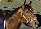Closing Argument 's Fee $5,000 at Millennium