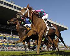 Cloudy's Knight Does It Again at Woodbine Cloudy's Knight Does It Again at Woodbine
