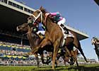Cloudy's Knight Does It Again at Woodbine Cloudy's Knight Does It Again at Woodbine