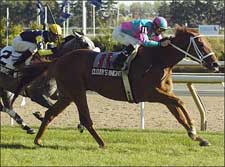 Cloudy's Knight Triumphs in Sky Classic Cloudy's Knight Triumphs in Sky Classic