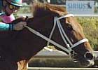 Cloudy's Knight Triumphs in Sky Classic Cloudy's Knight Triumphs in Sky Classic
