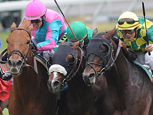 9-Year-Old Cloudy's Knight Wins Sycamore 9-Year-Old Cloudy's Knight Wins Sycamore