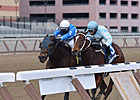 Unbeaten Cluster of Stars Heads Distaff Unbeaten Cluster of Stars Heads Distaff