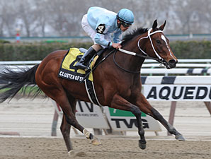 Cluster of Stars Stays Unbeaten in Distaff Cluster of Stars Stays Unbeaten in Distaff