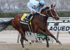 Cluster of Stars Stays Unbeaten in Distaff Cluster of Stars Stays Unbeaten in Distaff