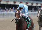 Cluster of Stars Named NY Horse of the Year Cluster of Stars Named NY Horse of the Year