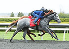 Coastline Works for Blue Grass Start Coastline Works for Blue Grass Start