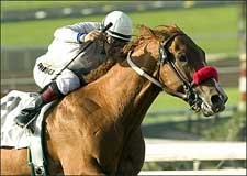 San Felipe Winner Cobalt Blue Returns in Alydar Stakes San Felipe Winner Cobalt Blue Returns in Alydar Stakes