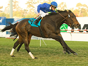 Cocoa Beach Surges To Matriarch Triumph Cocoa Beach Surges To Matriarch Triumph