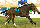 Cocoa Beach Surges To Matriarch Triumph