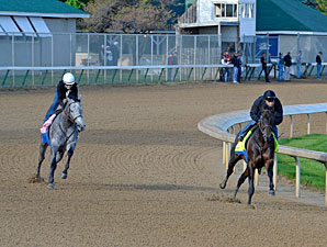 Baffert On Fence with Derby Contenders Baffert On Fence with Derby Contenders