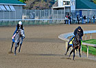 Baffert On Fence with Derby Contenders Baffert On Fence with Derby Contenders