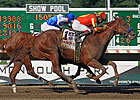 Coil to Saratoga for Possible Travers Start