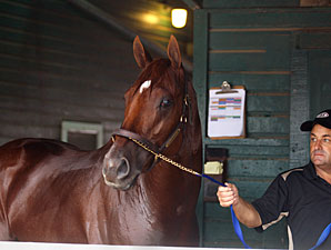 Coil Works a Mile at Santa Anita Coil Works a Mile at Santa Anita