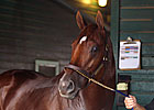 Coil Works a Mile at Santa Anita Coil Works a Mile at Santa Anita