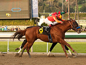 Coil Goes Out on Top in San Pasqual Thriller Coil Goes Out on Top in San Pasqual Thriller