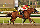Coil Goes Out on Top in San Pasqual Thriller