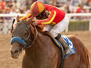 Coil to Start in San Pasqual Before Retiring