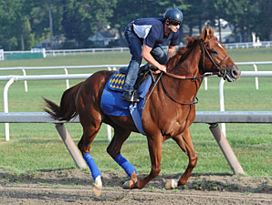 Coil on His Way to Travers After Bullet Work Coil on His Way to Travers After Bullet Work