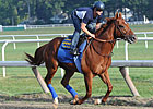 Coil Drills Six Furlongs for Travers Coil Drills Six Furlongs for Travers