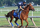 Coil Works Bullet, Will Start in Travers