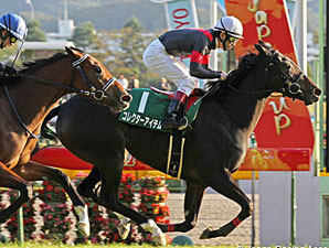 Filly Championship on the Line at Hanshin Filly Championship on the Line at Hanshin